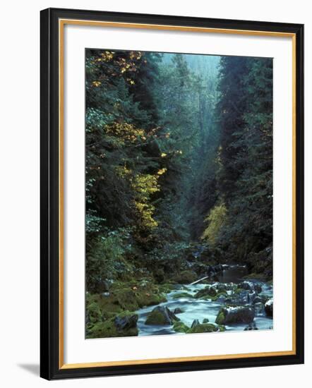 North Fork Santiam River near Opal Creek, Oregon Cascades, USA-Janis Miglavs-Framed Photographic Print