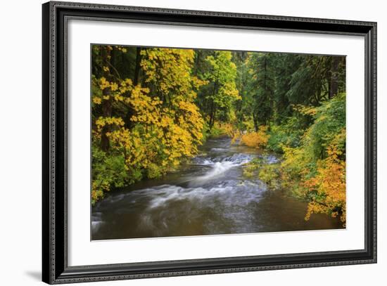 North Fork Silver Creek, Silver Falls State Park, Oregon, USA-Jamie & Judy Wild-Framed Photographic Print