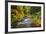 North Fork Silver Creek, Silver Falls State Park, Oregon, USA-Jamie & Judy Wild-Framed Photographic Print