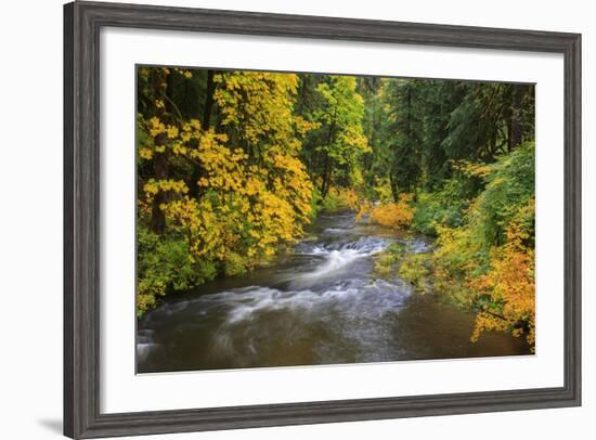 North Fork Silver Creek, Silver Falls State Park, Oregon, USA-Jamie & Judy Wild-Framed Photographic Print