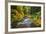 North Fork Silver Creek, Silver Falls State Park, Oregon, USA-Jamie & Judy Wild-Framed Photographic Print