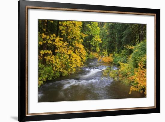 North Fork Silver Creek, Silver Falls State Park, Oregon, USA-Jamie & Judy Wild-Framed Photographic Print