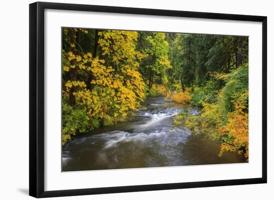 North Fork Silver Creek, Silver Falls State Park, Oregon, USA-Jamie & Judy Wild-Framed Photographic Print