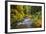 North Fork Silver Creek, Silver Falls State Park, Oregon, USA-Jamie & Judy Wild-Framed Photographic Print