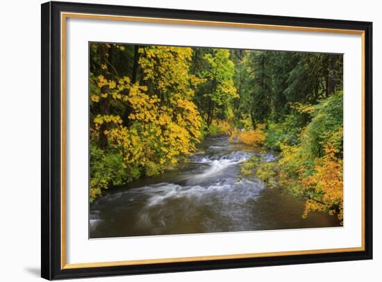 North Fork Silver Creek, Silver Falls State Park, Oregon, USA-Jamie & Judy Wild-Framed Photographic Print