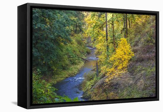 North Fork Silver Creek, Silver Falls State Park, Oregon, USA-Jamie & Judy Wild-Framed Premier Image Canvas