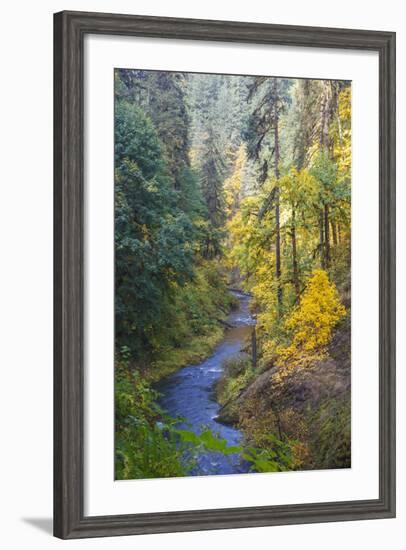 North Fork Silver Creek, Silver Falls State Park, Oregon, USA-Jamie & Judy Wild-Framed Photographic Print