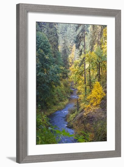 North Fork Silver Creek, Silver Falls State Park, Oregon, USA-Jamie & Judy Wild-Framed Photographic Print