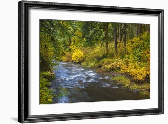 North Fork Silver Creek, Silver Falls State Park, Oregon, USA-Jamie & Judy Wild-Framed Photographic Print