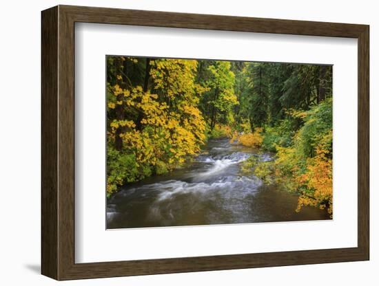 North Fork Silver Creek, Silver Falls State Park, Oregon, USA-Jamie & Judy Wild-Framed Photographic Print