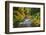 North Fork Silver Creek, Silver Falls State Park, Oregon, USA-Jamie & Judy Wild-Framed Photographic Print