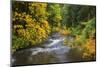 North Fork Silver Creek, Silver Falls State Park, Oregon, USA-Jamie & Judy Wild-Mounted Photographic Print