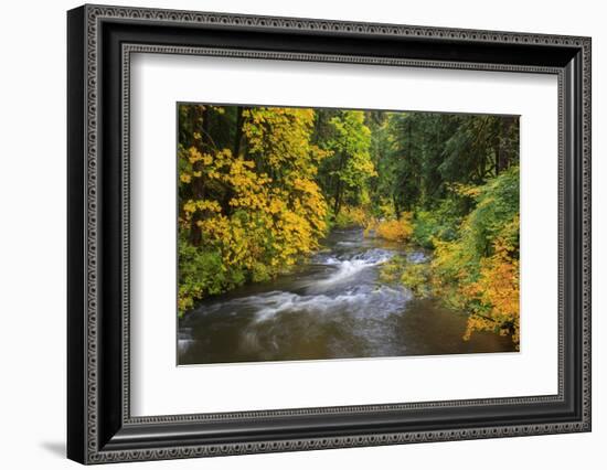 North Fork Silver Creek, Silver Falls State Park, Oregon, USA-Jamie & Judy Wild-Framed Photographic Print