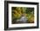 North Fork Silver Creek, Silver Falls State Park, Oregon, USA-Jamie & Judy Wild-Framed Photographic Print