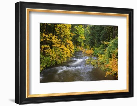 North Fork Silver Creek, Silver Falls State Park, Oregon, USA-Jamie & Judy Wild-Framed Photographic Print