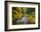 North Fork Silver Creek, Silver Falls State Park, Oregon, USA-Jamie & Judy Wild-Framed Photographic Print