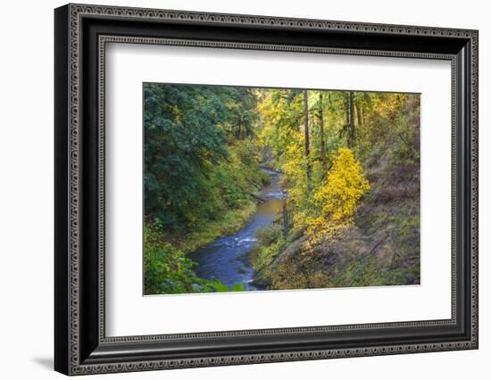 North Fork Silver Creek, Silver Falls State Park, Oregon, USA-Jamie & Judy Wild-Framed Photographic Print