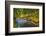 North Fork Silver Creek, Silver Falls State Park, Oregon, USA-Jamie & Judy Wild-Framed Photographic Print