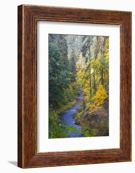 North Fork Silver Creek, Silver Falls State Park, Oregon, USA-Jamie & Judy Wild-Framed Photographic Print