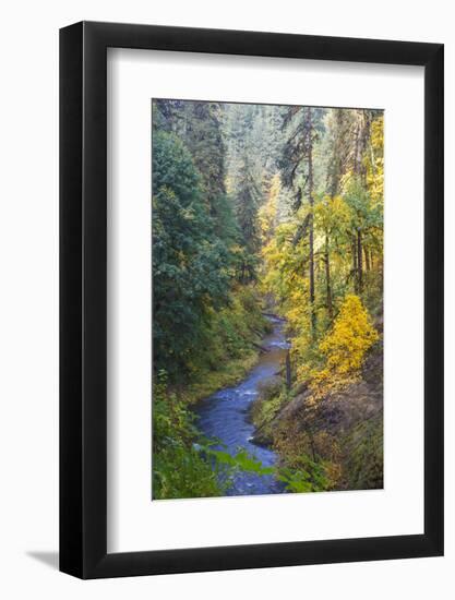 North Fork Silver Creek, Silver Falls State Park, Oregon, USA-Jamie & Judy Wild-Framed Photographic Print