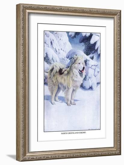 North Greenland Eskimo-Louis Agassiz Fuertes-Framed Art Print