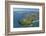 North Head, Devonport, Auckland, North Island, New Zealand-David Wall-Framed Photographic Print