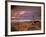 North Head Lighthouse at Sunset, Fort Canby State Park, Washington, USA-Brent Bergherm-Framed Photographic Print