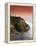 North Head Lighthouse on Cliff, Fort Canby State Park, Washington, USA-Stuart Westmorland-Framed Premier Image Canvas