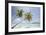 North Huvadhoo Atoll, Southern Maldives, Indian Ocean-Stuart Westmorland-Framed Premium Photographic Print