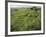 North Kohola Area-Karen Kasmauski-Framed Photographic Print