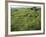 North Kohola Area-Karen Kasmauski-Framed Photographic Print