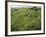 North Kohola Area-Karen Kasmauski-Framed Photographic Print