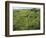 North Kohola Area-Karen Kasmauski-Framed Photographic Print