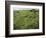 North Kohola Area-Karen Kasmauski-Framed Photographic Print