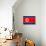 North Korea Flag Design with Wood Patterning - Flags of the World Series-Philippe Hugonnard-Premium Giclee Print displayed on a wall