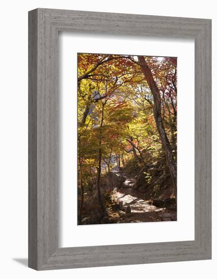 North Korea, Kumgang. Kumgang Mountains in Autumn.-Katie Garrod-Framed Photographic Print