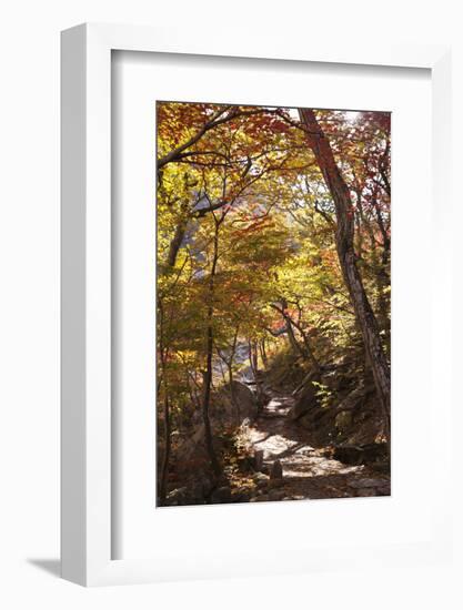 North Korea, Kumgang. Kumgang Mountains in Autumn.-Katie Garrod-Framed Photographic Print