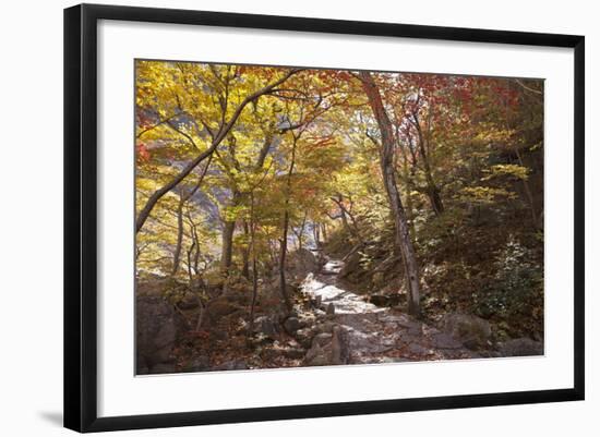 North Korea, Kumgang. Kumgang Mountains in Autumn.-Katie Garrod-Framed Photographic Print