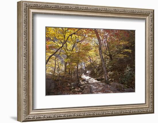 North Korea, Kumgang. Kumgang Mountains in Autumn.-Katie Garrod-Framed Photographic Print