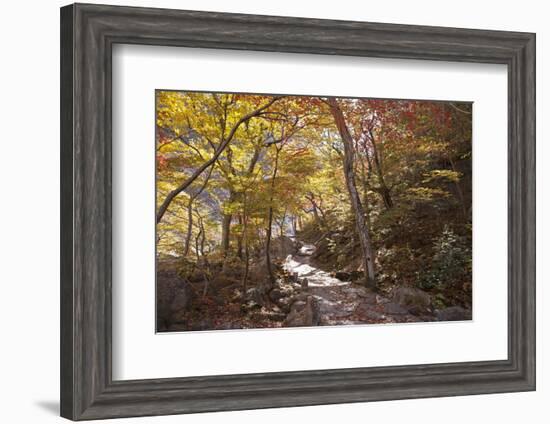 North Korea, Kumgang. Kumgang Mountains in Autumn.-Katie Garrod-Framed Photographic Print