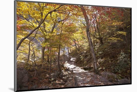 North Korea, Kumgang. Kumgang Mountains in Autumn.-Katie Garrod-Mounted Photographic Print