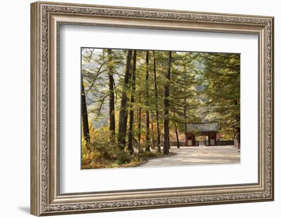 North Korea, Myohyang. Pohyon Temple, Located on the Slopes of the Myohyang Mountains-Katie Garrod-Framed Photographic Print