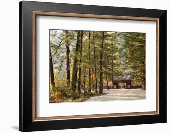 North Korea, Myohyang. Pohyon Temple, Located on the Slopes of the Myohyang Mountains-Katie Garrod-Framed Photographic Print