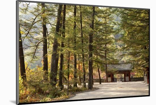 North Korea, Myohyang. Pohyon Temple, Located on the Slopes of the Myohyang Mountains-Katie Garrod-Mounted Photographic Print