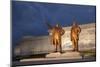 North Korea, Pyongyang. Bronze Statues of Kim Il Sung, Arm Out Pointing the Way Forward-Katie Garrod-Mounted Photographic Print