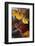 North Morocco, Fes. Fruits in the Souks of Fes-Kymri Wilt-Framed Photographic Print