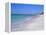 North of Longboat Key, Anna Maria Island, Gulf Coast, Florida, USA-Fraser Hall-Framed Premier Image Canvas