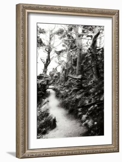 North Point Pathway I-Alan Hausenflock-Framed Photographic Print