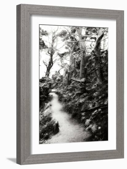 North Point Pathway I-Alan Hausenflock-Framed Photographic Print