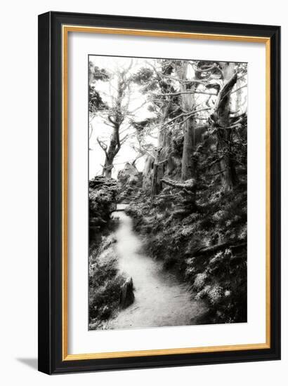 North Point Pathway I-Alan Hausenflock-Framed Photographic Print